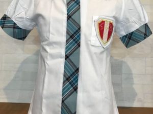 Blusa Serafin azul